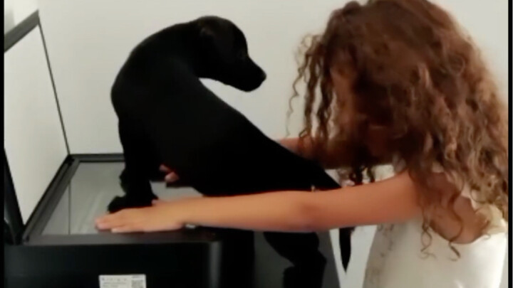 “A sense of ritual—print your paw print with your dog!”