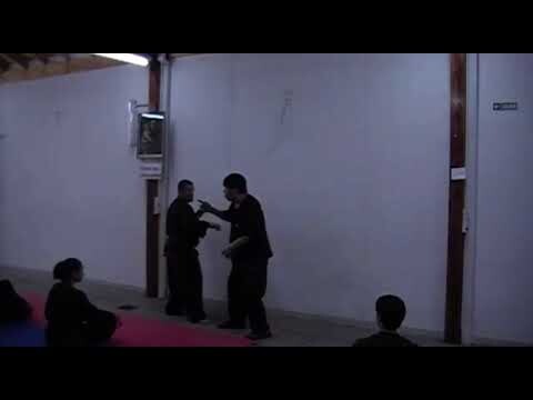 Gran maestro yoo soo nam clase año 2009 técnica de lucha con hiong