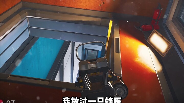 If the package you packed gets stolen by the bee doctor, would you give the bee doctor a friendly lo