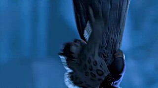 Một nghìn người lính canh giữ một tên tội phạm có giá trị gì?