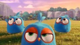 NEW SERIES! Angry Birds Blues   Watch Full Movie : Link In Description