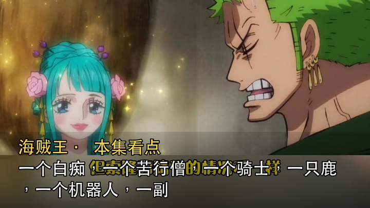 A fool, a monk, a knight, a deer, a robot, a skeleton, and a fishman | One Piece