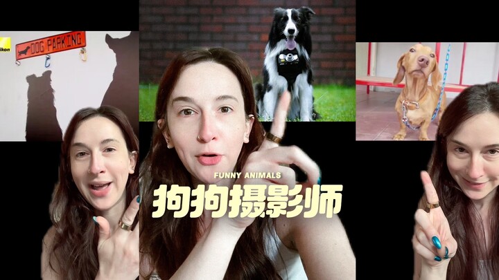 Bisa melihat apa yang membuat anjing begitu bersemangat benar-benar keren‼️