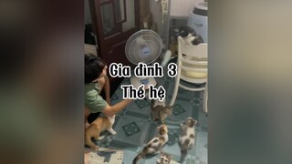 Điệu cười của Zân Anh 🥲🥲 mèo cute