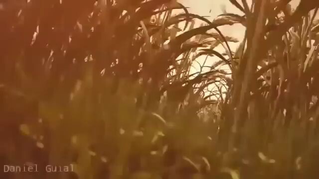 the god of gamblers 1 tagalog dubbed