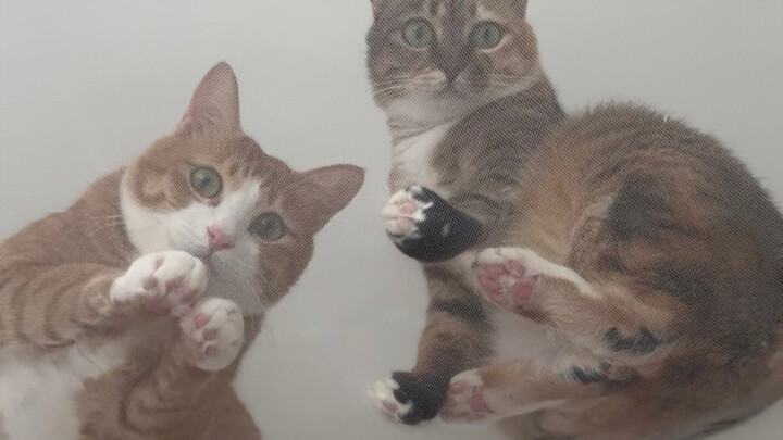 Người ơi, bạn tỉnh rồi à?