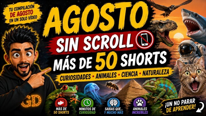 🚨 NO HAGAS SCROLL: 50 SHORTS EN UN SOLO VÍDEO 🤯 | AGOSTO SIN SCROLL