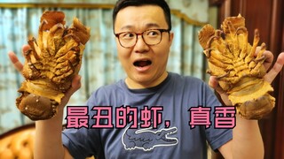 Today, I'm eating what's号称the ugliest shrimp!