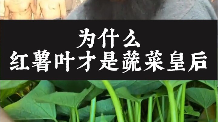 Mengapa daun ubi jalar disebut ratu sayuran?