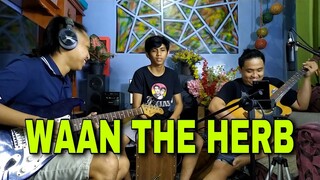 Waan The Herb by Alborosie ft. Michael Rose / Packasz cover