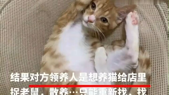 ฉันว่าพี่สาวคงหยุดแค่นี้ไม่ได้ ลองเปลี่ยนเป็น “ไว้คราวหน้าค่อยว่ากัน” ดีกว่าไหม