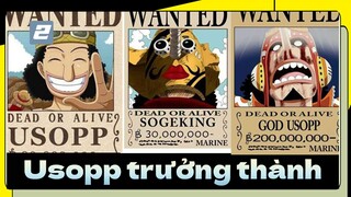 Usopp trưởng thành-2
