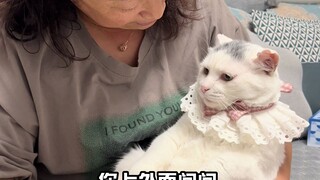 Ai Fei: Aku tidak mau mendengarkan, Wang Ba sedang bernyanyi...😂