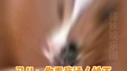 Horse: “Got it, got it—just going to spoil you this one time～”