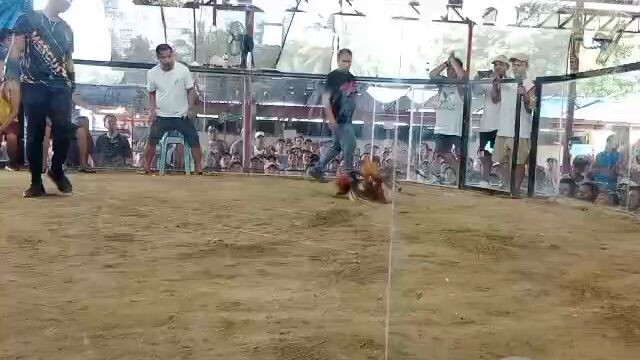 Hack Fight Quezon Quezon Arena #GoldWin