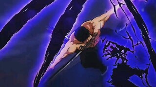 One Piece Zoro vs Fujitora