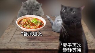 命最硬的恋爱脑