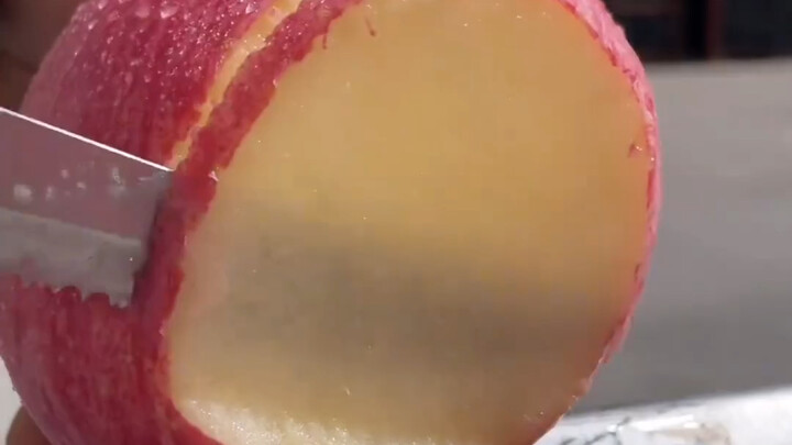 【Video Pelepas Stres Si Hutan Gendut】 Video sedang dimuat, segera cek kejutannya!