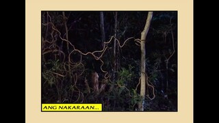 Mulawin-Full Episode 33 (Ang Lambanang si Muyak)