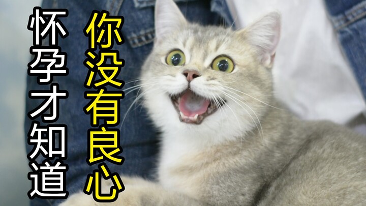 Chỉ ăn thêm một hộp đồ hộp thôi mà cậu đã nghi mình mang thai giả rồi.