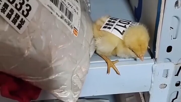 Nếu người bị đóng gói và dán nhãn lại là bạn thì sao?