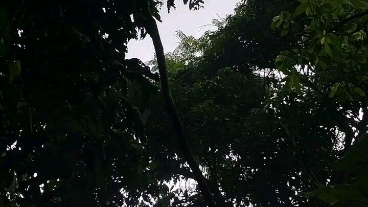 Bagaimana jadinya bila apa yang ada di depan mata semua berubah? jadi apa apa yang tidak terduga.