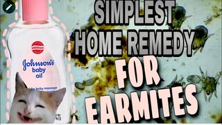 SIMPLE HOME REMEDY FOR EARMITES USING BABY OIL! #Earmites #BabyoilforEarmites