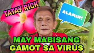 TATAY RICK:PINAKA MABISANG GAMOT SA VIRUS (KATUWAAN LANG PO)