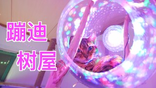 Magnify a music box by 1,000 times and turn it into a treehouse that cats can live in!