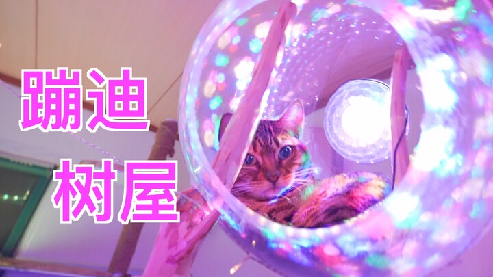 把八音盒放大1000倍，做成能让猫住进去的树屋！
