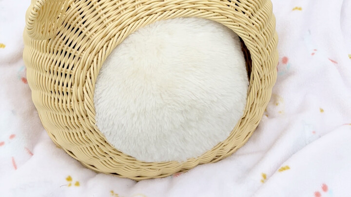 لماذا تطعن مؤخرتي الصغيرة!