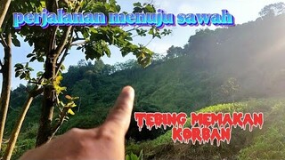 PERJALANAN MENUJU LADANG MELINTASI TEBING YANG PERNAH LONGSOR || MOMEN LIBURAN KERJA MAIN KE SAWAH