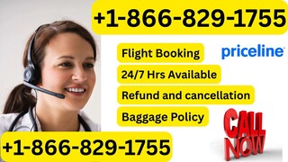 {{Full Guide}}  Of Priceline® Customer Service Guide to Live Chat and Email(24*7) support