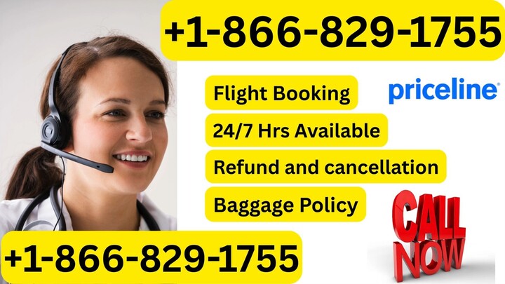 Priceline Customer Service I Quick Ways to Reach Live Support Assistance