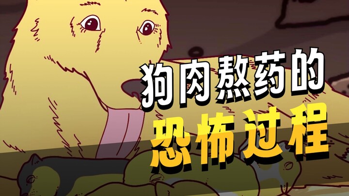 Puppy-to-Pill Transformation: Is This the Right Path or a Sinful One?