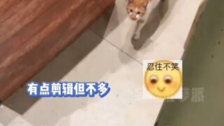 The script is great, and the actors are very dedicated; it's just that we don't have enough money to