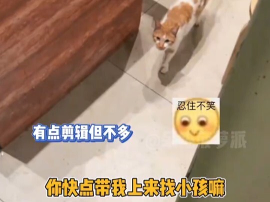 剧本很好，演员也很敬业，就是没钱雇个后期剪辑