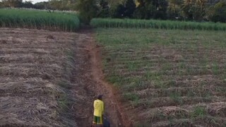 佳节清明桃李笑，野田荒家自生愁。雷惊天地龙蛇蛰，雨足郊原草木柔。独在异乡为异客，清明佳节倍思亲。遥知亲人扫墓时，在此场上少一人。祝清明节安康。