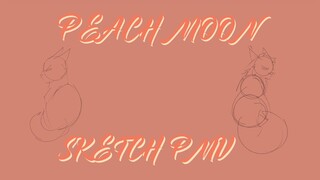 Peach Moon | Warriors OC Sketch PMV