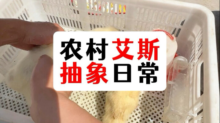 Abstract daily life in the countryside.