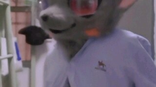 Hey hey hey! Where are you looking?