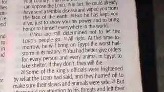 Daily Verse.                  Exodus 9:13-21