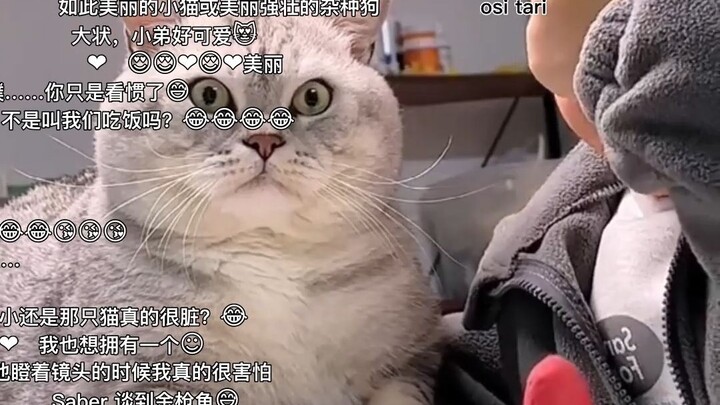 【คอมเมนต์ทิคตอก】ชาวเน็ตทั่วโลกชม “เจ้าแมวตัวใหญ่” ของจีน (ต้าจ้วง) นั่งเฝ้าเด็กทำการบ้าน