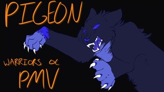 PIGEON ||warriors oc PMV||