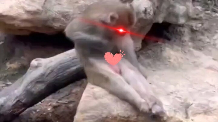 Nhìn vào hành vi bẩm sinh để khám phá những khả năng vô hạn của tương lai