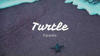 Davichi - Turtle Karaoke Lyrics