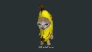 The Banana Cat