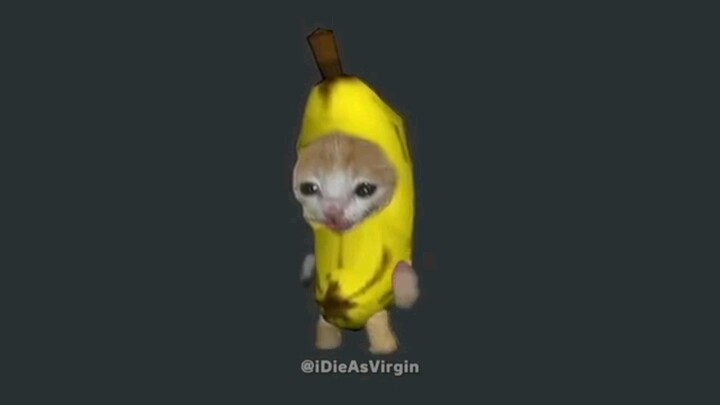 The Banana Cat
