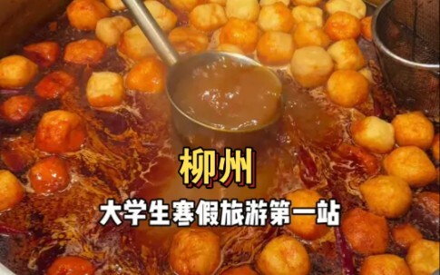 First stop of winter break travel: Liuzhou, Guangxi!