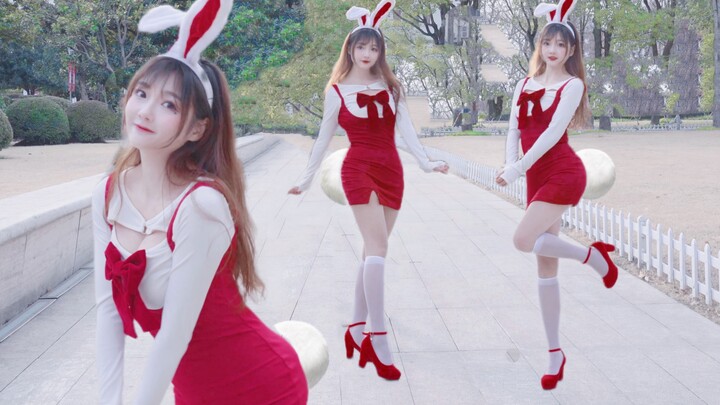Kelinci kecil itu akan melompat ke dalam hatimu♥Gaya Tara-Bunny